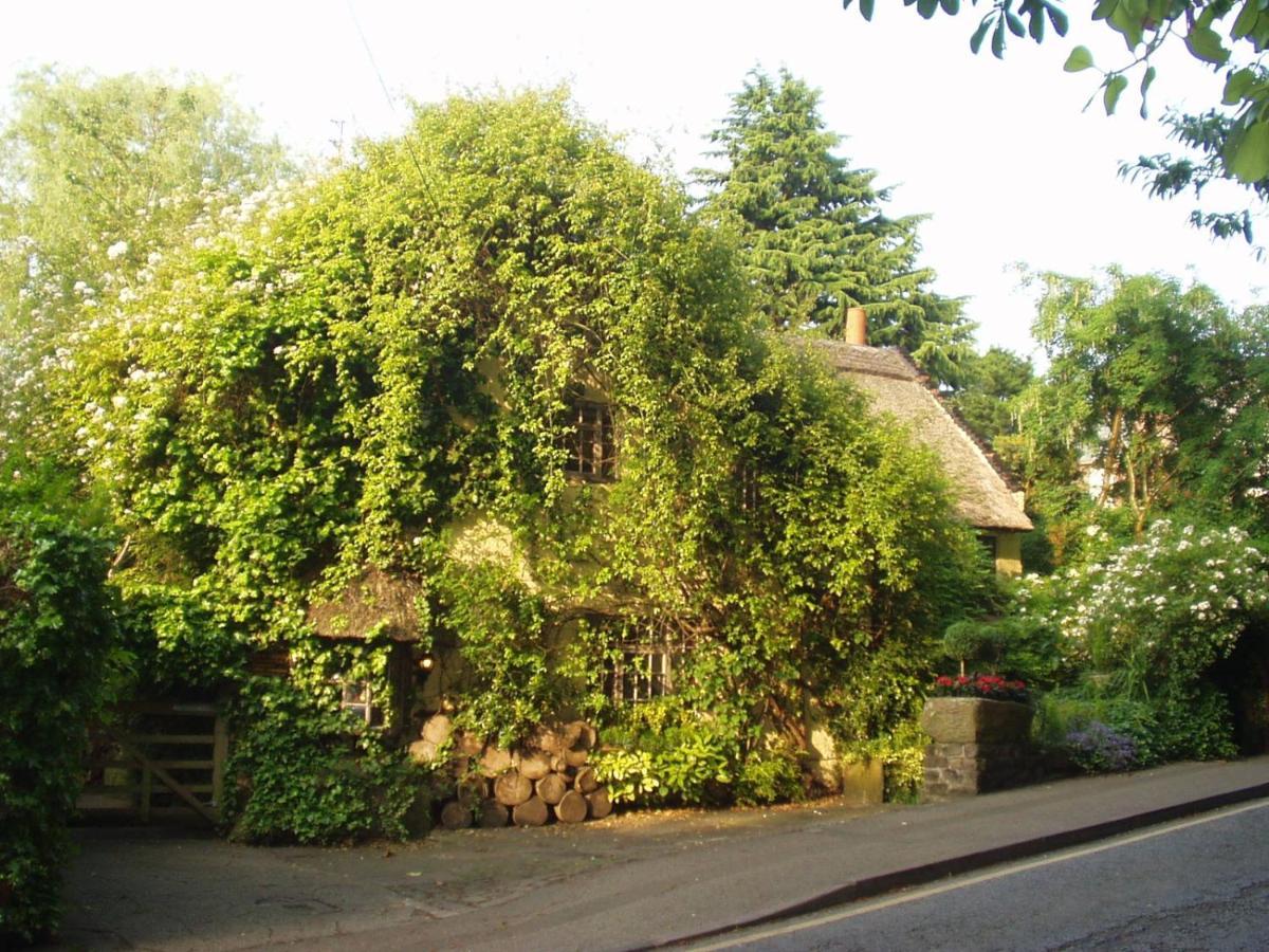 Wizards Thatch Luxury Suites Alderley Edge Extérieur photo